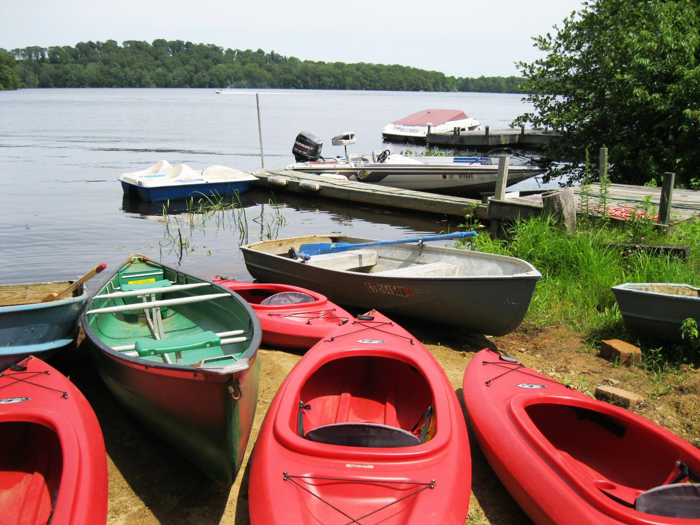 Wildlife around the reservoir